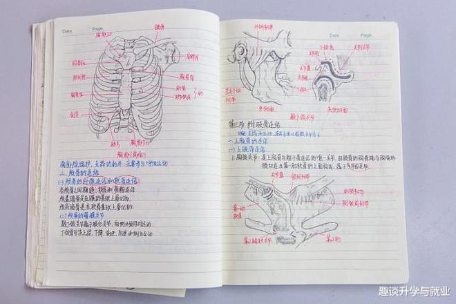 学霸常用的3种高效研习手法学渣无法领会值得中高德娱乐等考生鉴戒(图3)