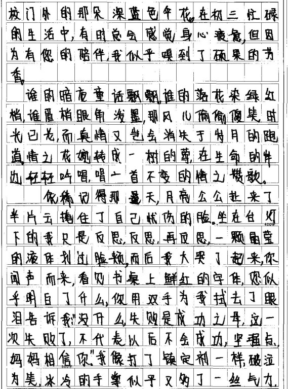 高德娱乐作文大全400字