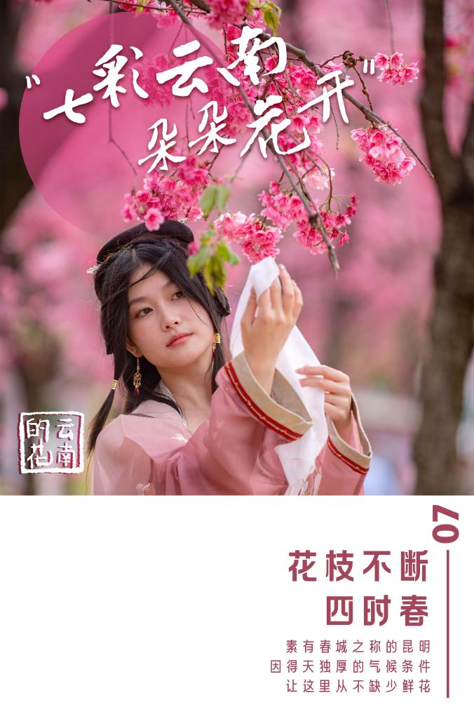 高德娱乐七彩云南朵朵花开(图7)